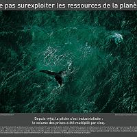P2006 11 ne_pas_surexploiter 